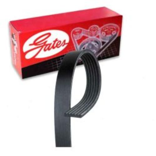 Gates Micro-V Accessory Drive Serpentine Belt for 2010-2015 Jaguar XF 3.0L 5.0L V6 V8